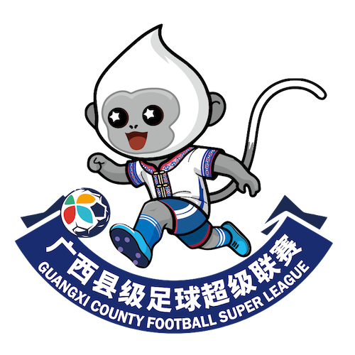广西县超 防城港市东兴市队2-0钦州市钦北区队20260419