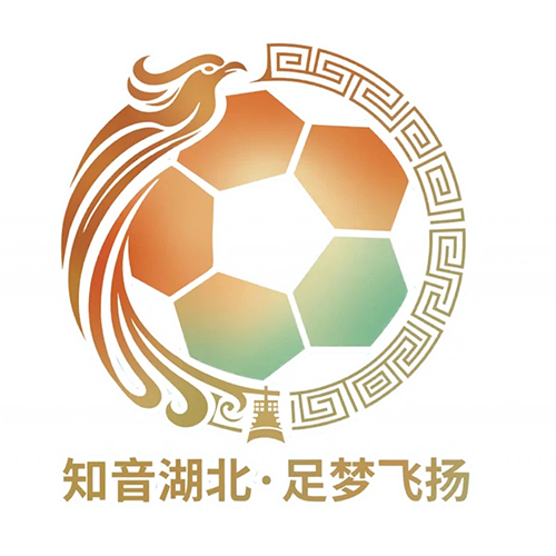 湖北省城市足球联赛 黄石美尔雅队VS宜昌东阳光队20260523